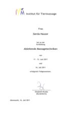 ITM ausschwemmende Massagetechnik