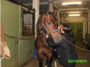 "immer sch�n weitermachen..."